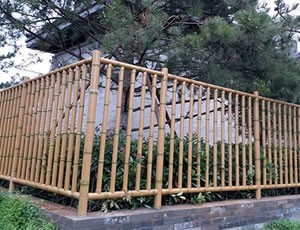 青青草在线播放篱笆