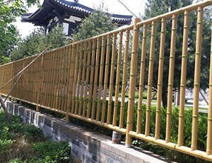 青青草在线播放黄色护栏
